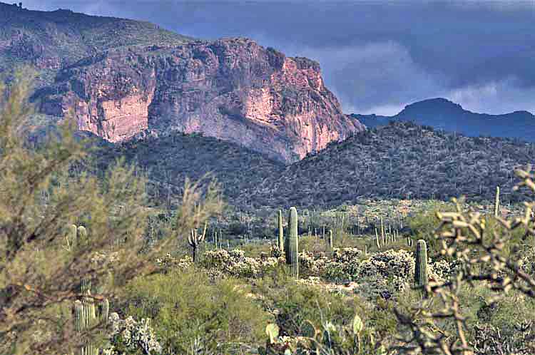 mtn scenic